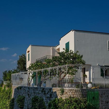 Villa La Pagaia Sorrento Coast Vico Equense Exteriér fotografie